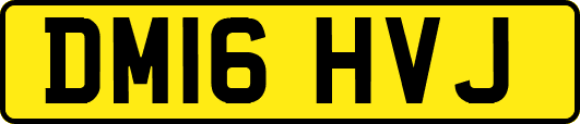 DM16HVJ