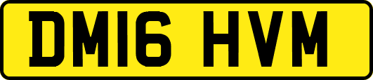 DM16HVM