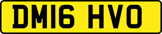 DM16HVO