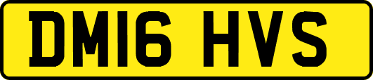 DM16HVS
