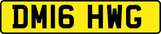 DM16HWG