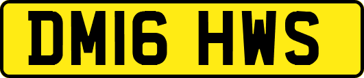 DM16HWS