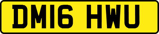 DM16HWU