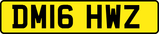 DM16HWZ