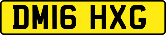 DM16HXG