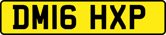 DM16HXP