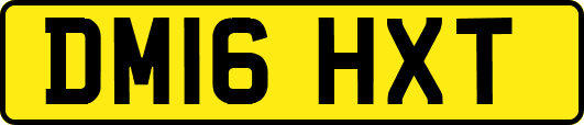 DM16HXT