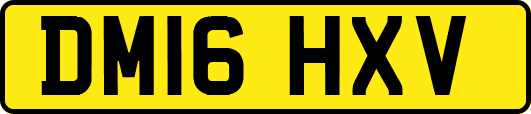 DM16HXV