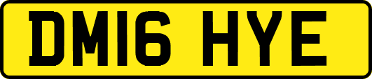 DM16HYE
