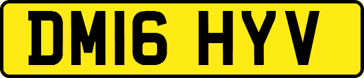 DM16HYV
