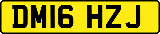 DM16HZJ