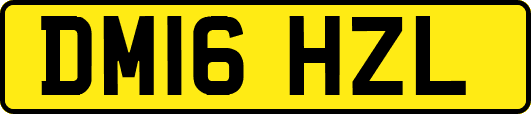 DM16HZL