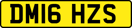DM16HZS
