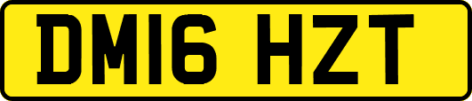 DM16HZT