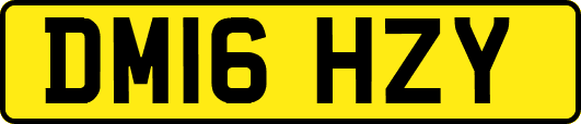 DM16HZY