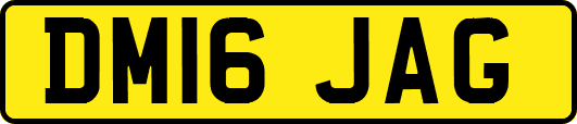 DM16JAG