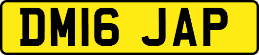 DM16JAP