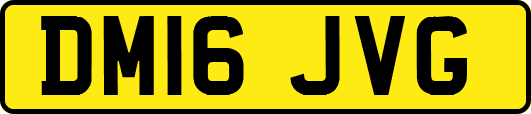 DM16JVG
