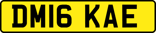 DM16KAE