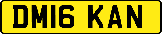 DM16KAN