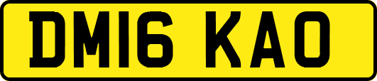 DM16KAO