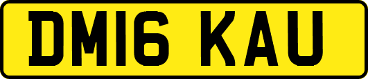 DM16KAU