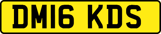 DM16KDS