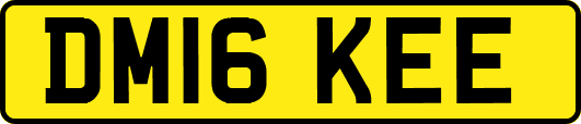 DM16KEE