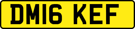 DM16KEF