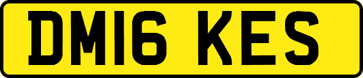 DM16KES