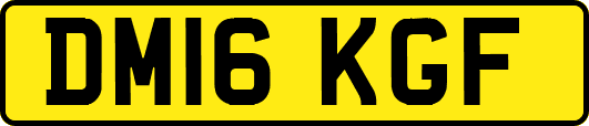 DM16KGF