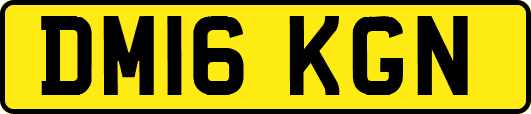 DM16KGN