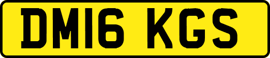 DM16KGS