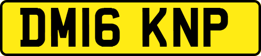 DM16KNP