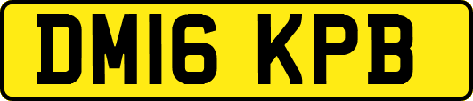 DM16KPB