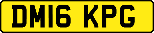 DM16KPG