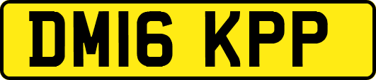 DM16KPP