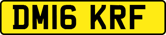 DM16KRF