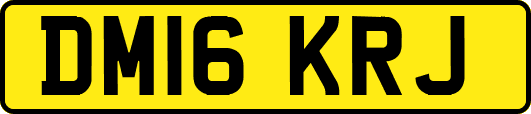 DM16KRJ