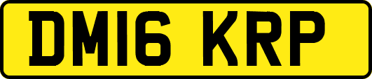 DM16KRP