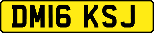 DM16KSJ