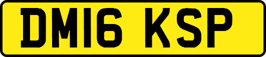 DM16KSP