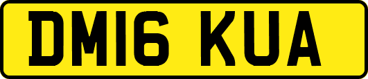DM16KUA