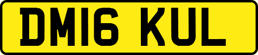 DM16KUL
