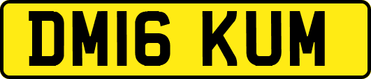 DM16KUM