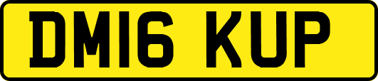 DM16KUP