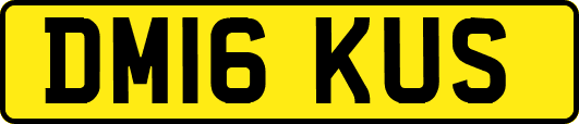 DM16KUS