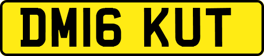 DM16KUT