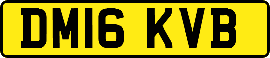 DM16KVB