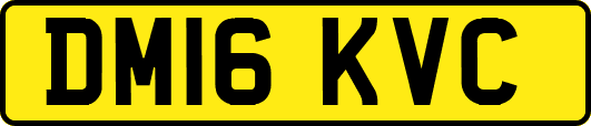 DM16KVC